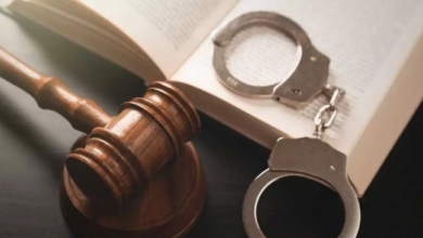 What Does A Criminal Defense Attorney Do During Trials?