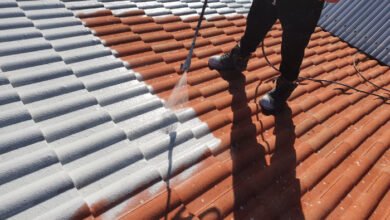 Roof Cleaning in Gold Coast: A Comprehensive Guide to Protecting Your Roof and Home