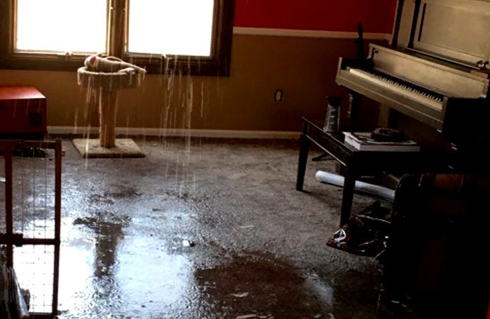 Emergency Water Damage Restoration in Salt Lake City: What to Do in the First 24 Hours