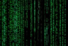 deciphering igyta404 technical significance