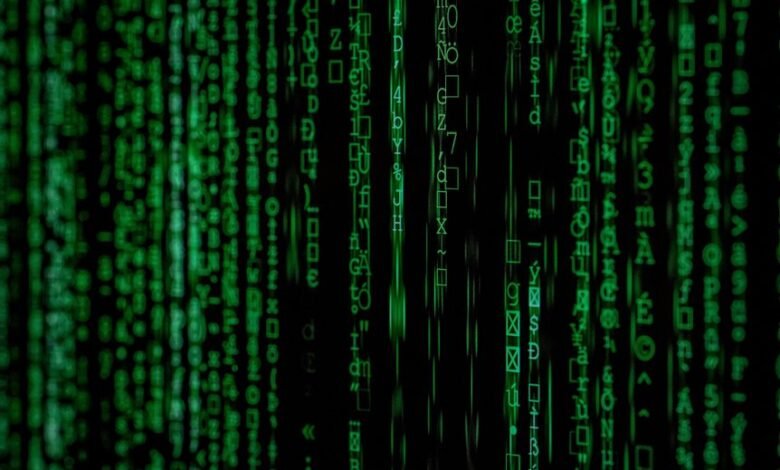 deciphering igyta404 technical significance