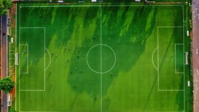 activity identifiers listed overview