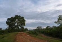 multi region identifier report