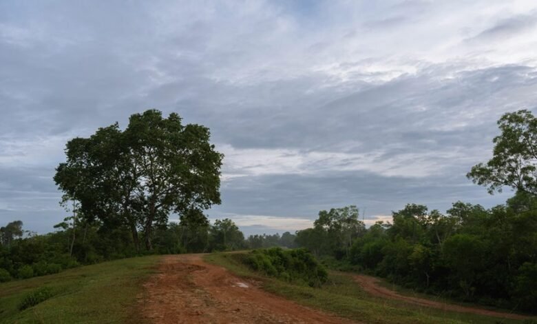 multi region identifier report