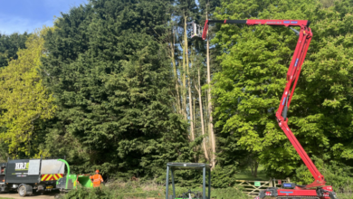 How Tree Surgery Trends Are Shaping Safer, Greener UK Neighbourhoods in 2026