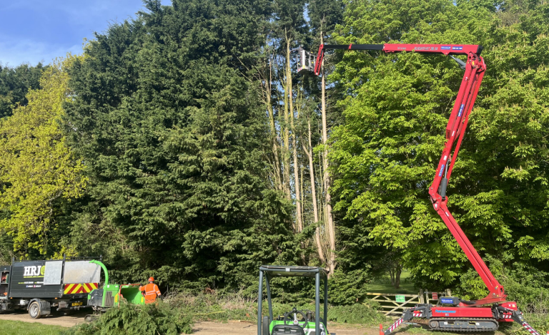 How Tree Surgery Trends Are Shaping Safer, Greener UK Neighbourhoods in 2026